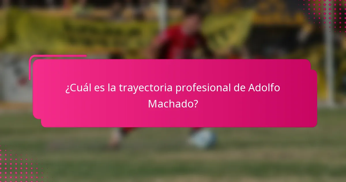 ¿Cuál es la trayectoria profesional de Adolfo Machado?
